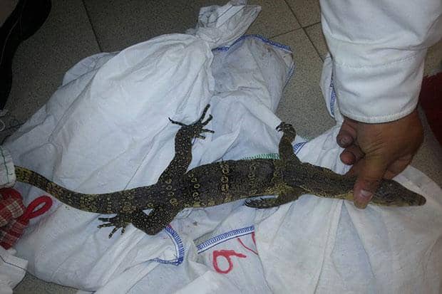 c1_1142465_161123131807_620x413