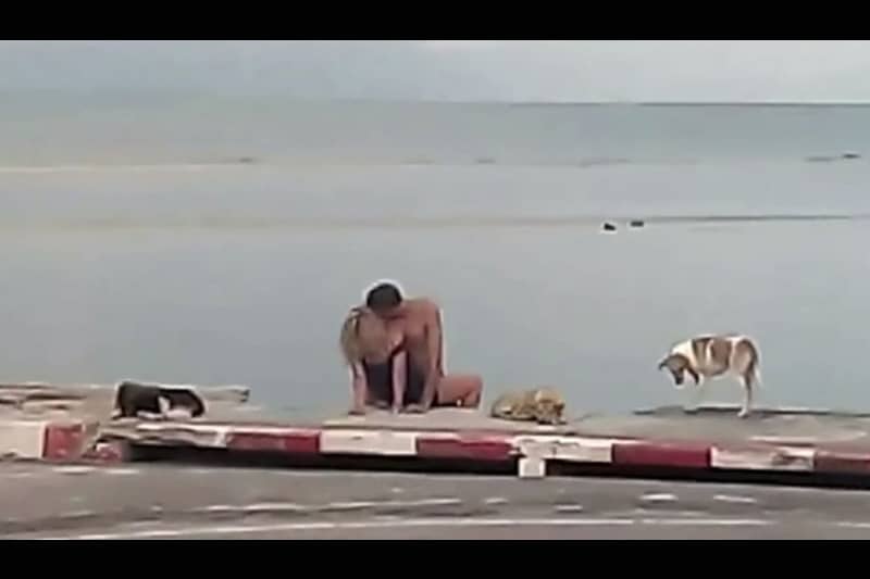 欧米人バカップル、サムイ島のビーチで野良犬に囲まれながら猥褻行為