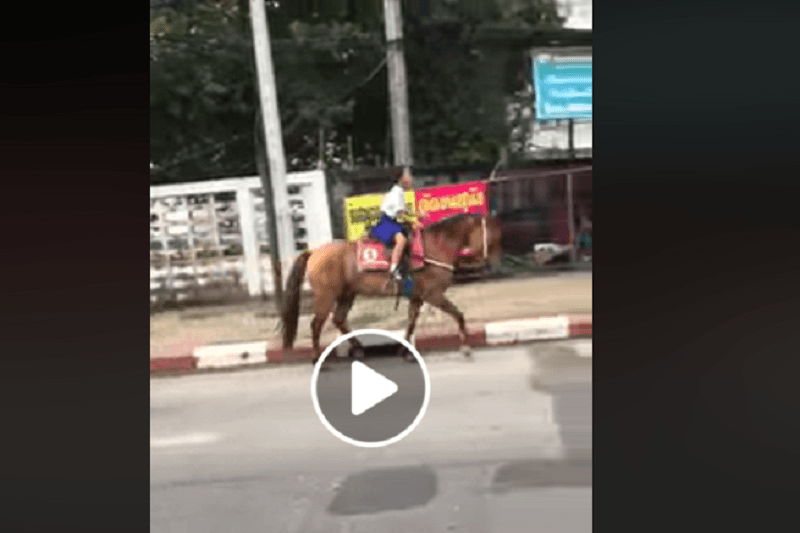タイの町中を馬に乗った少女が駆け抜ける！