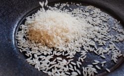 コロナの影響で、タイで人もペットも空腹に！