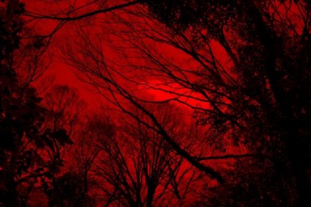 タイで起きた不思議なオカルト的事件２連発！