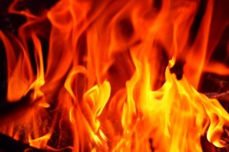 タイの珍ニュース！女房がＨさせないから家燃やす＆トカゲ虐待で逮捕