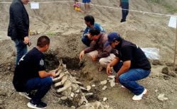 タイ最新ニュース～大昔のクジラの化石発見＆パタヤのコンド強制撤去