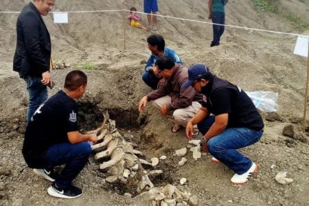 タイ最新ニュース～大昔のクジラの化石発見＆パタヤのコンド強制撤去