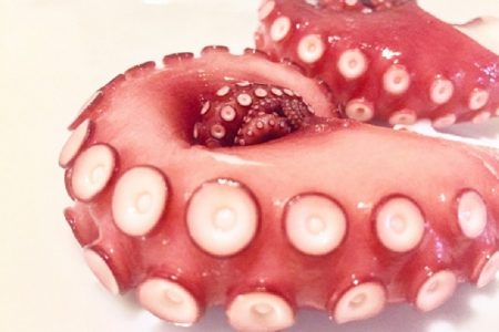 タイ珍ニュース！お坊さんゾウに殺される＆毒ダコを屋台で販売