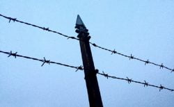 タイ刑務所の職業訓練に星占いコース＆誘拐犯、SNSの協力で発見