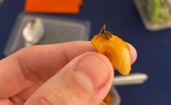 地獄のような検疫滞在ホテルをタイ人男性が暴露！