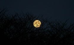 タイで起きた「世にも奇妙な物語」ニュース！