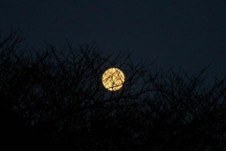 タイで起きた「世にも奇妙な物語」ニュース！