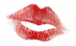 タイで大人気だったポルノサイトの閲覧、再び可能になるか！？