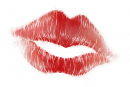 タイで大人気だったポルノサイトの閲覧、再び可能になるか！？