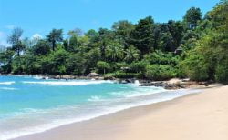 ７月１日からプーケット島で外国人観光客受け入れ開始