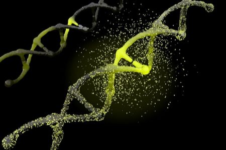 タイ政府新型コロナ政府対策本部による外国人観光客受け入れ４段階