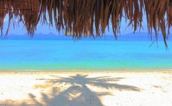 タイエアアジア10月中に20路線運航＆来年からタイ入国料金500B