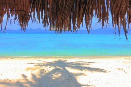 タイエアアジア10月中に20路線運航＆来年からタイ入国料金500B