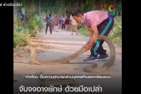 タイ珍事件！素手でコブラを捕まえる救急隊員＆宝くじ大量万引き