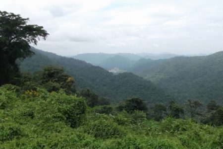 タイのリゾートホテルの悪評を書き300万Ｂを請求された女性