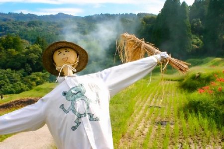 タイ面白ニュース！僧侶がカカシの葬儀＆高すぎるマンゴスチン