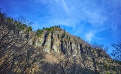 タイ珍事件！崖で２日間、奇跡の生還＆サービス車両運転で罰金