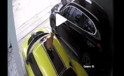 タイ動物珍事件！高級外車に猫の傷で３０万B請求＆食べられそうになった野生動物