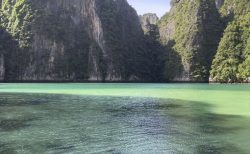 タイ南部ピピ島のマヤ湾が再び美しさを取り戻す