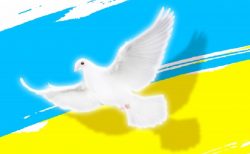 バンコクのバーでビールを飲みウクライナ援助＆ロシア人、カード使用不可