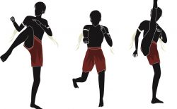 タイ珍ニュース！ムエタイジム、ソムタム店へ＆タクシー乗客の荷物を奪って逃げる？