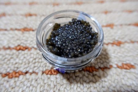 タイ産激安キャビアが食卓に＆側溝の仔猫ちゃんを救え