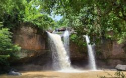 タイ珍事件！愛犬を滝で水遊びさせ罰＆大学学長がCA盗み撮り