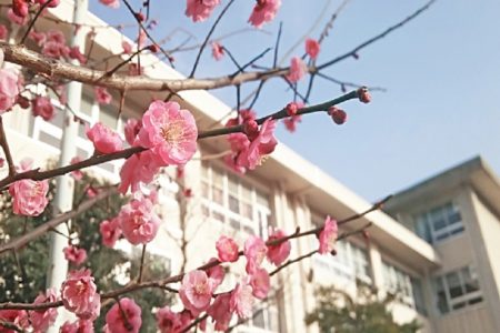 タイ珍ニュース！生徒の素行をポイント制で判断＆物理学者会議の厳しいドレスコード