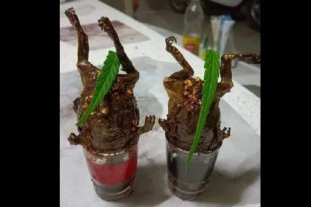 タイ珍ニュース！ウシガエル料理が人気＆花婿が結婚式に来ない！