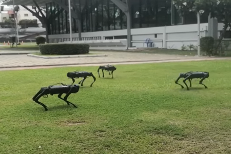 タイ珍ニュース！気持ち悪いロボ犬＆猫を可愛がっていて交通事故