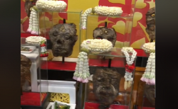 タイ珍ニュース！人の顔皮に祈ると芸能界で成功する！？