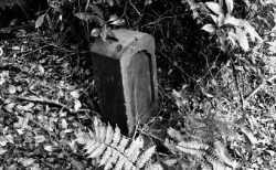 タイ珍事件！幽霊が友人の死体へと導く＆お寺用の寄付金盗まれる