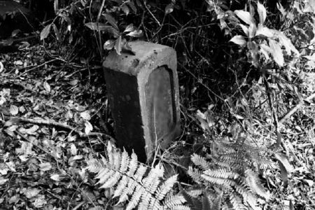タイ珍事件！幽霊が友人の死体へと導く＆お寺用の寄付金盗まれる