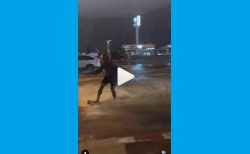 タイ面白ニュース！冠水道路でウエイクボード＆珍しい青ヘビに宝くじ祈願