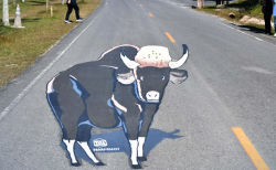 タイ中部のカオヤイ国立公園に動物の３D式道路サイン登場！