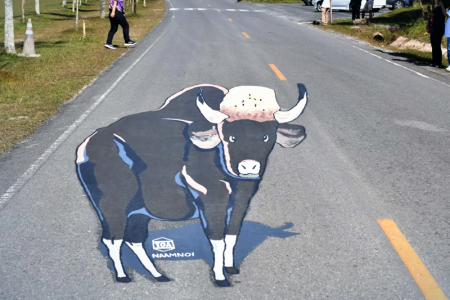 タイ中部のカオヤイ国立公園に動物の３D式道路サイン登場！