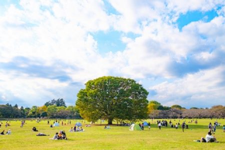 タイ珍事件！完成済公園が使用不可だった理由＆寝てる間にガードレールの上に車