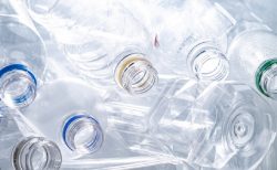 タイ外国人珍ニュース！ペットボトル集めをする欧米人