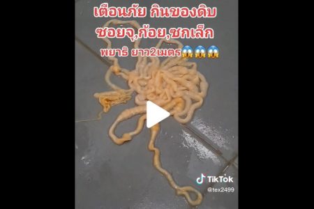 タイ生物珍ニュース！生肉好き男性から２Mサナダムシ＆金色のコブラは幸運不運？