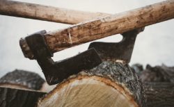 タイ悲劇事件！隣人を射殺、斧で殺されそうになった？＆観光客与えた食物でゾウ死亡