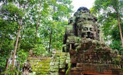 ルイビトンのロゴはカンボジアのクメール文化発祥！？