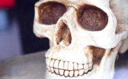 タイ悲劇事件！パタヤが自殺の名所に＆TV局員過労死