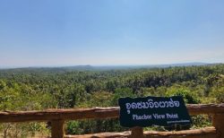 タイ奇跡生還事件！絶景スポットの崖で７０メートル落下