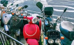 タイ変態事件！バイクの座席で自慰男＆竹藪で女性下着100以上発見