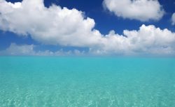 タイ外国人観光客事件！カザフスタン人、酩酊状態で大騒ぎ