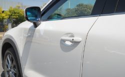 タイ非道ニュース！ヒッチハイカーに「恩を仇で返された」親切兄弟