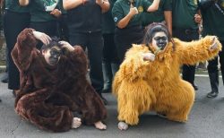 タイ面白ニュース！動物園でテナガザル脱出時の訓練