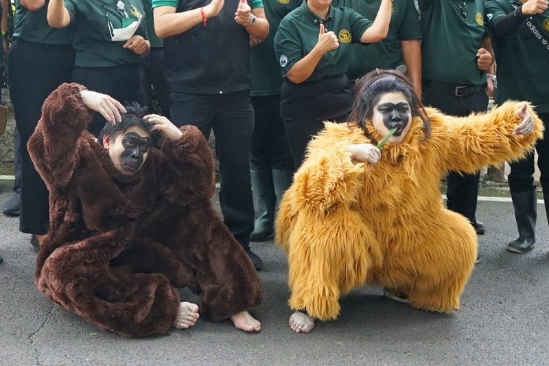 タイ面白ニュース！動物園でテナガザル脱出時の訓練